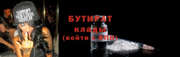 хмурый Верея