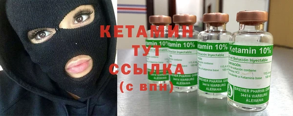 хмурый Верея
